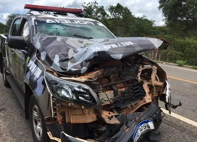 Viatura fica destruída após colidir em animal na BR 343