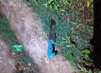 Arma usada no crime