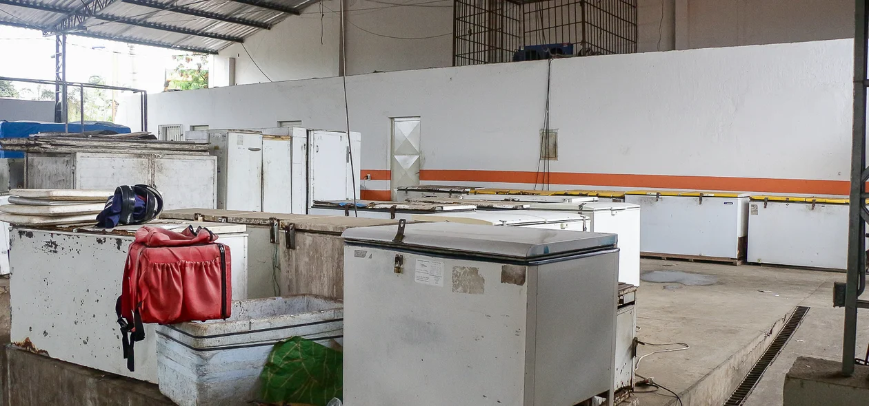 Freezers do mercado do peixe