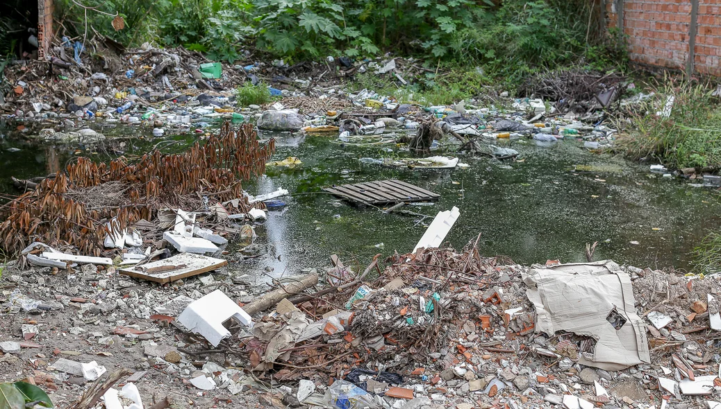 Lixo é descartado em terreno baldio