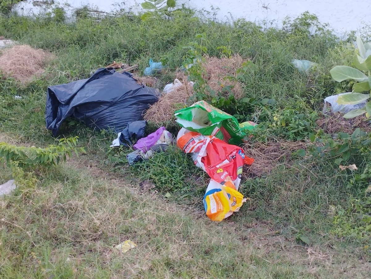 Local onde a cabeça foi encontrada