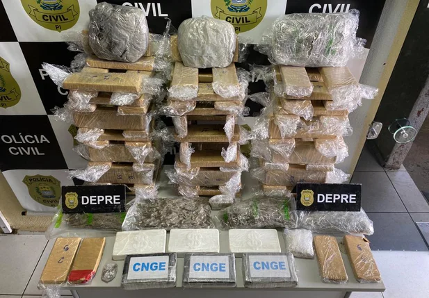 Muita droga apreendida durante a ação da DEPRE