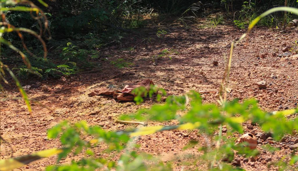 Ossada humana encontrada no Vale do Gavião