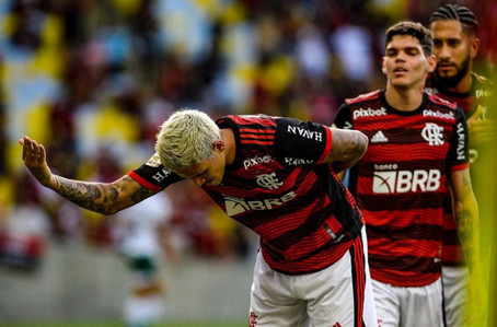 Pedro comemorando gol do Flamengo sobre o Goiás