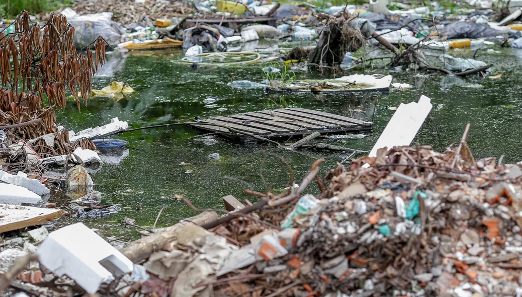 Terreno abandonado e com água parada vira foco do mosquito