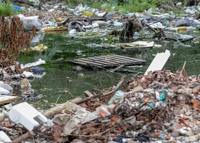 Terreno abandonado e com água parada vira foco do mosquito