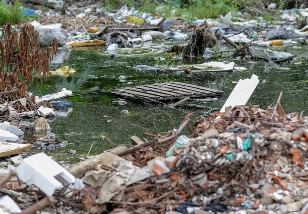 Terreno abandonado e com água parada vira foco do mosquito