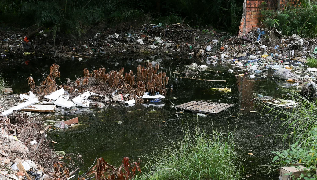 Terreno baldio acumula água parada e muito lixo