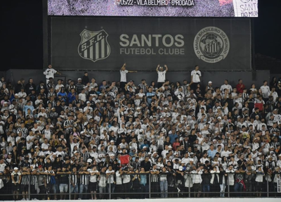 Torcedores do Santos