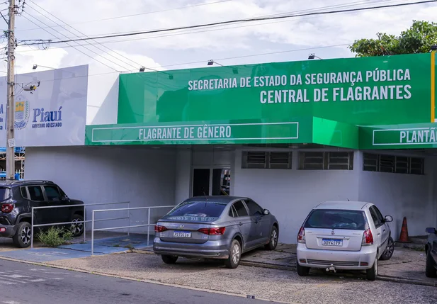 Central de Flagrantes de Teresina