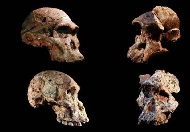 Fósseis humanos da África