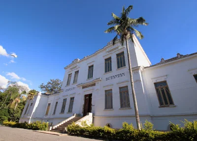 Instituto Butantan