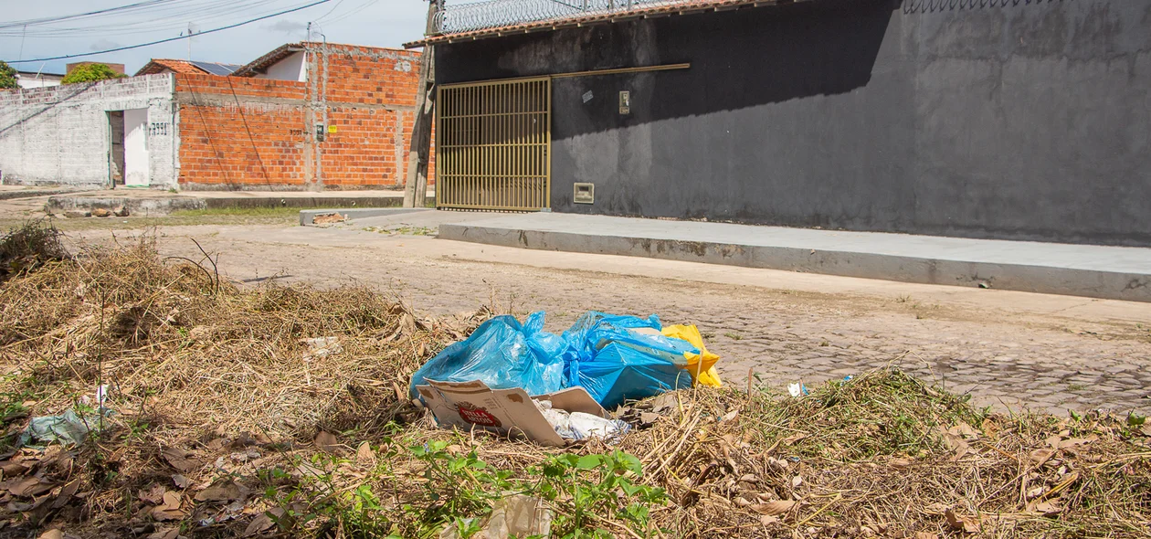 Lixo fica acumulado na frente das casas