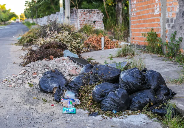 Lixo jogado na rua