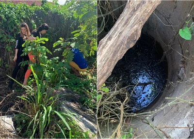 Local onde a mulher foi jogada em Esperantina