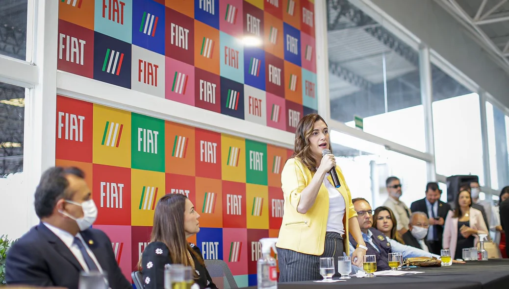 Ministra durante seu pronunciamento