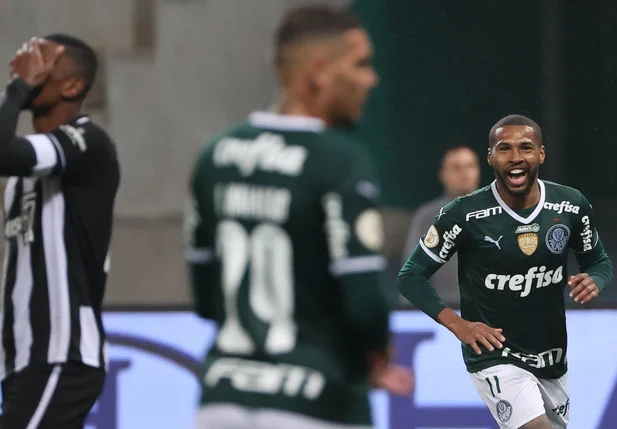 Palmeiras e Botafogo pela Série A