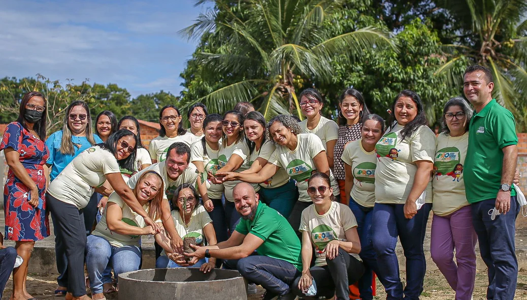Plantação de mudas