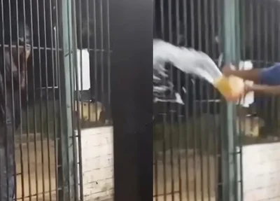 Senhor foi pedir água pra beber e um rapaz jogou um balde de água nele no povoado Taboca do Pau Ferrado