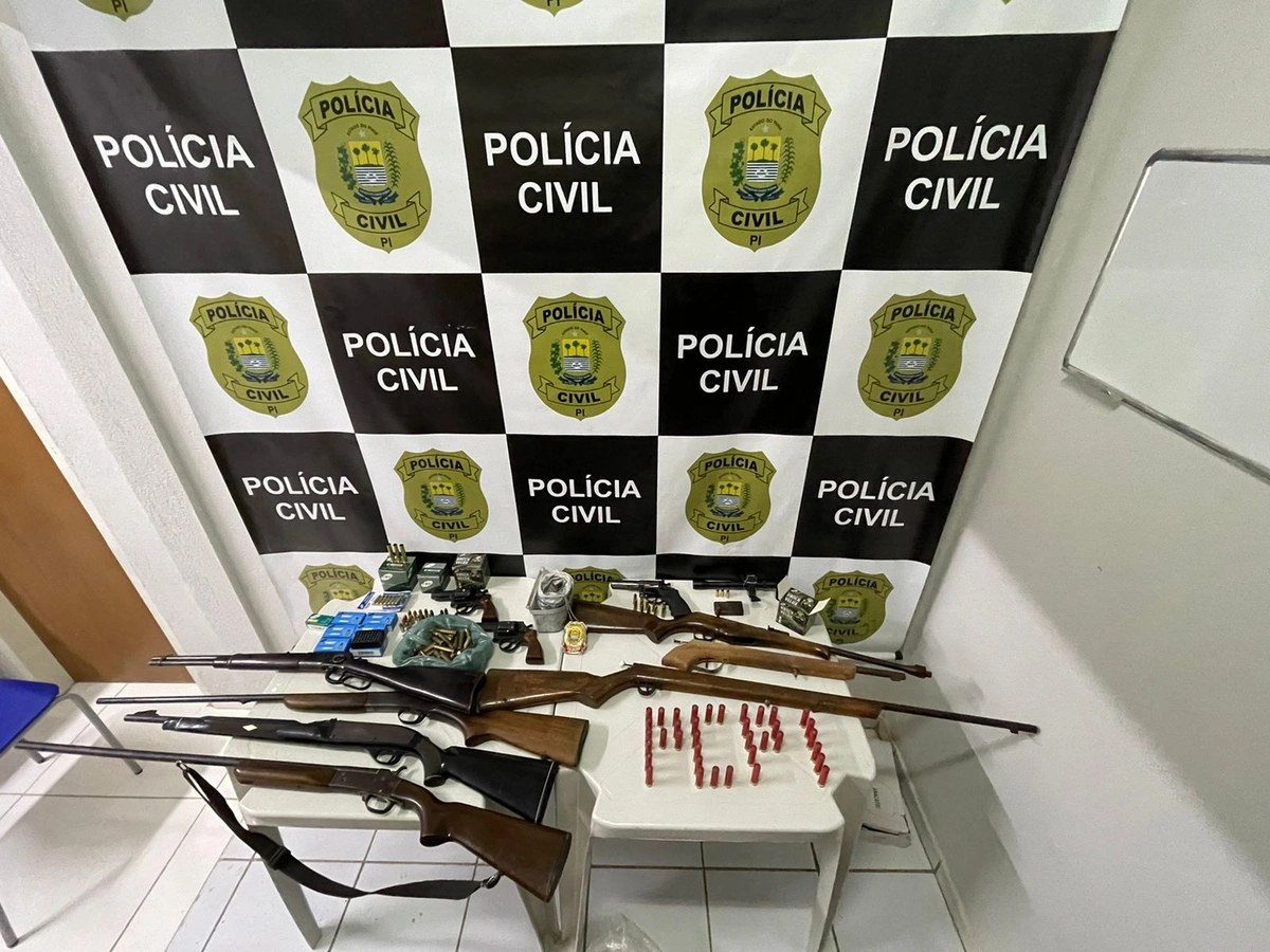 Armas de fogo apreendidas