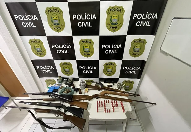 Armas de fogo apreendidas