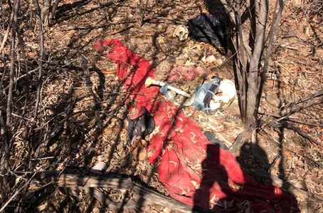Caçador encontra ossada humana na zona rural de Patos do Piauí