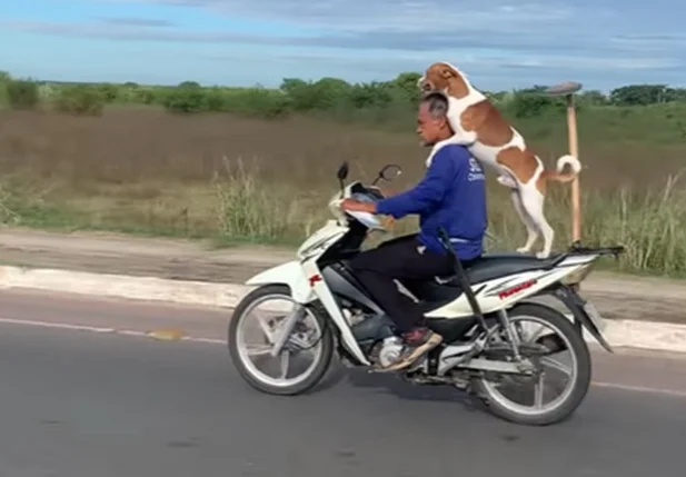 Cachorro é flagrado passeando de moto com o dono