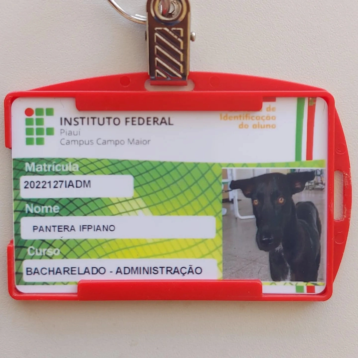 Carteirinha de estudante
