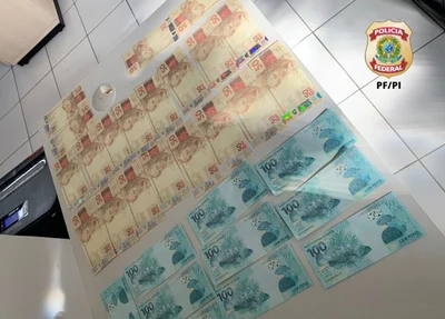 Cédulas falsas apreendidas em Parnaíba