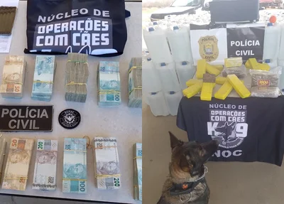 DEPRE apreendeu dinheiro e drogas em Bom Jesus