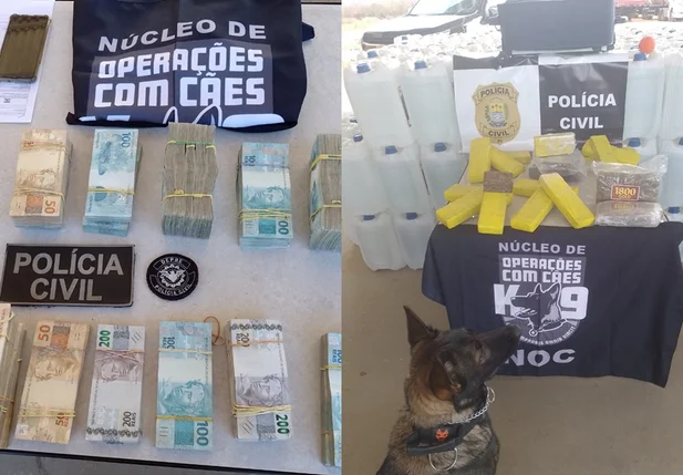DEPRE apreendeu dinheiro e drogas em Bom Jesus