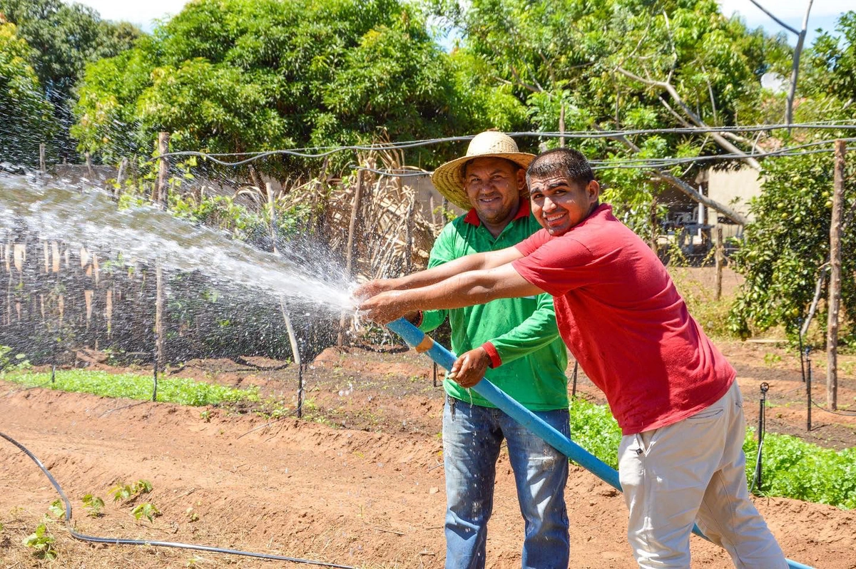 Incentivo a agricultura