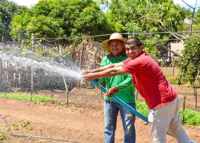 Incentivo a agricultura