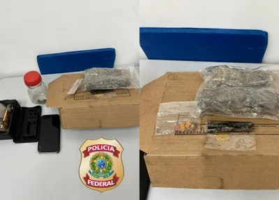 PF apreende skunk e ecstasy enviados pelos Correios no Piauí