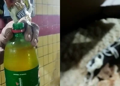 Pizza e refrigerante fakes
