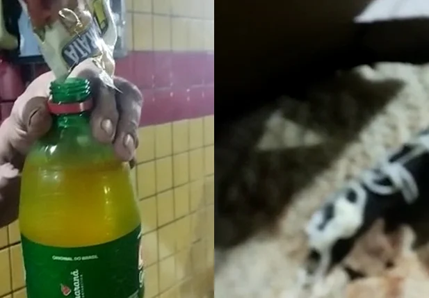 Pizza e refrigerante fakes