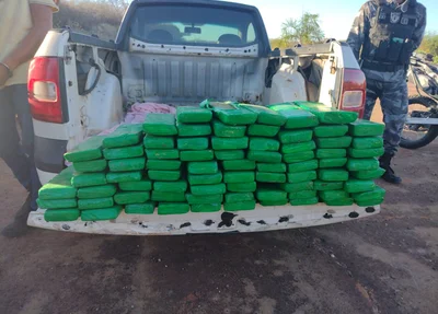 PM apreende maconha avaliada em R$ 150 mil em Simplício Mendes