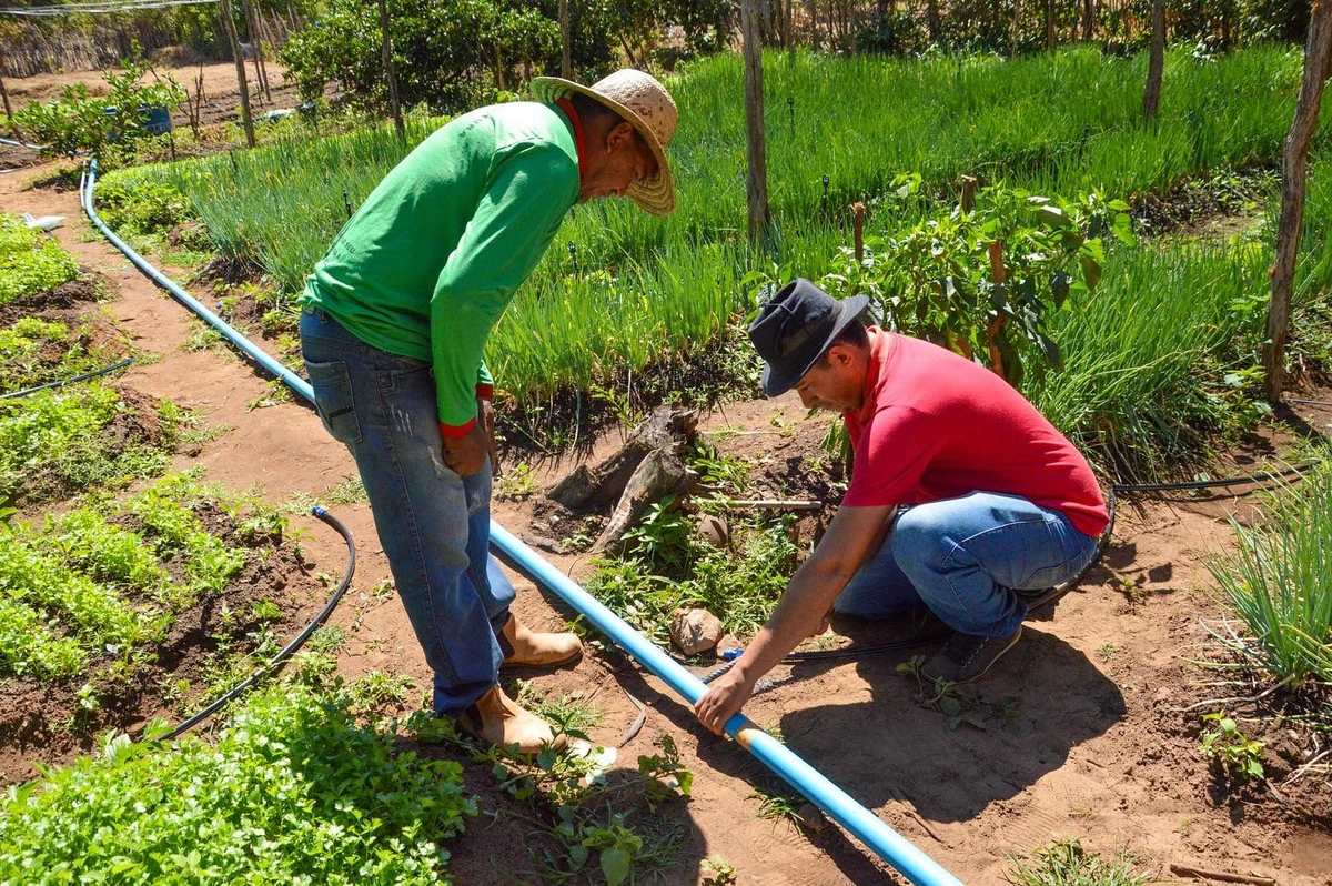 Prefeitura de Lagoa de São Francisco investe na agricultura