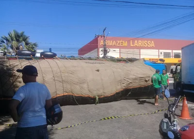 Caminhão de hortifruti tomba na BR 316 na cidade de Timon