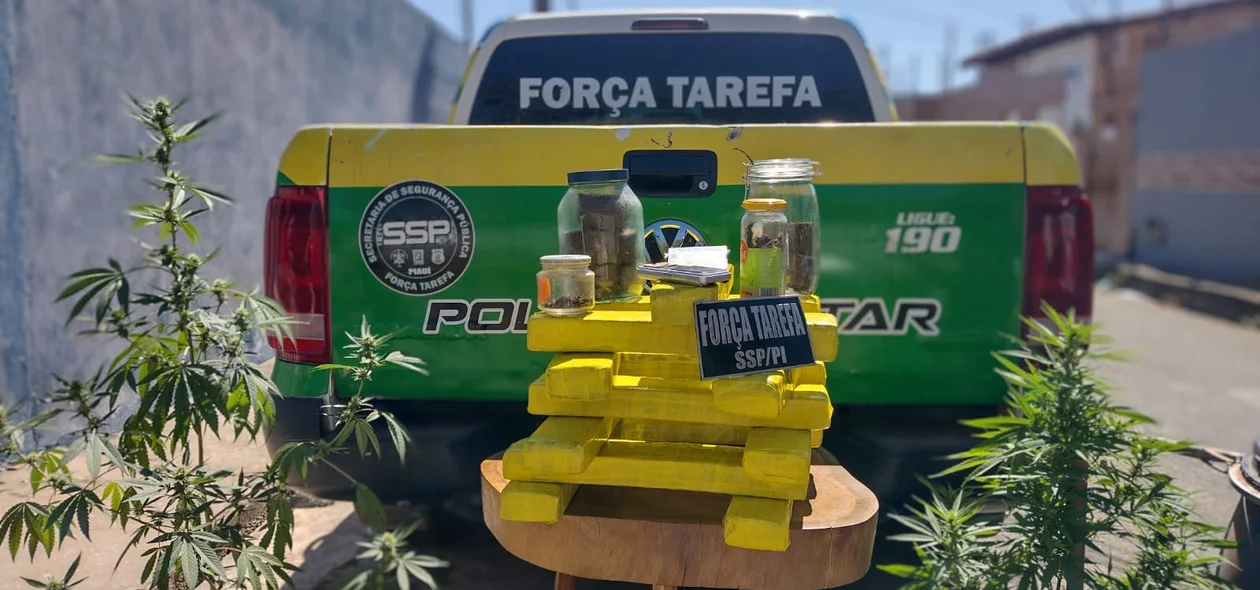 Droga apreendida pela Força Tarefa