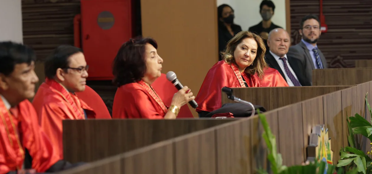 Fides Angélica Ommati, presidente da APLJ