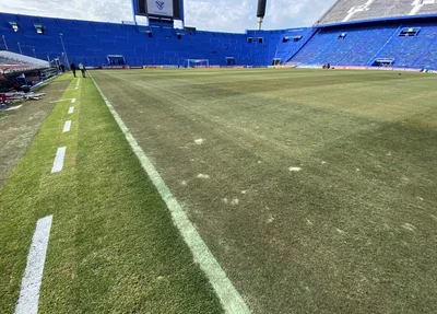 Gramado do estádio José Amalfitani