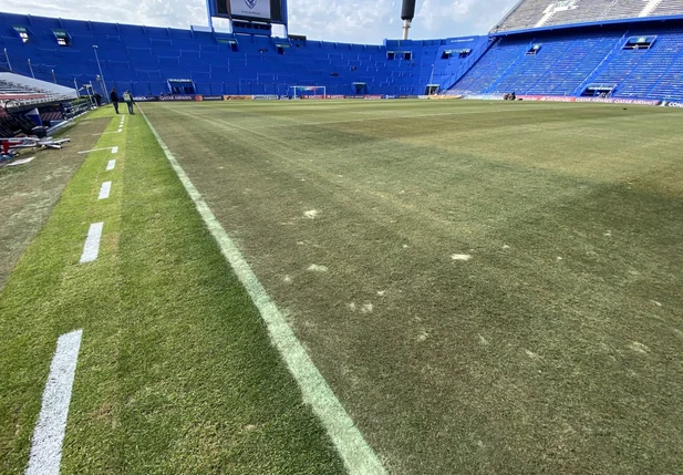 Gramado do estádio José Amalfitani
