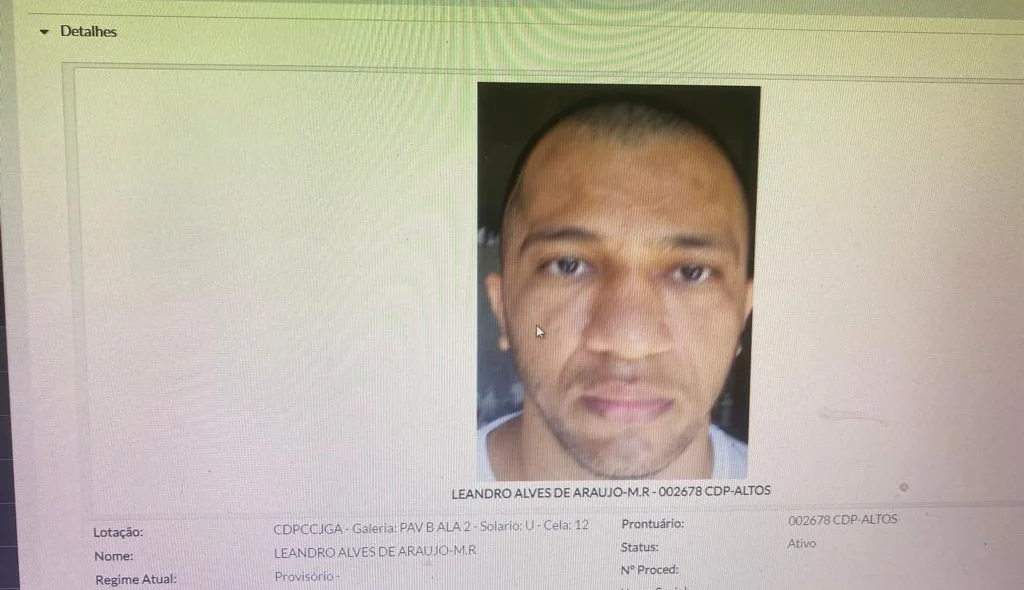 Leandro Alves de Araújo