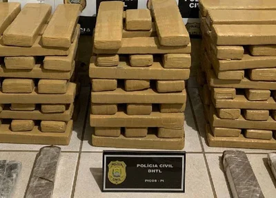 Maconha apreendida em Picos
