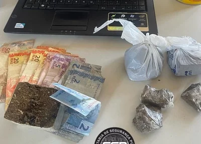 Maconha apreendida em Teresina