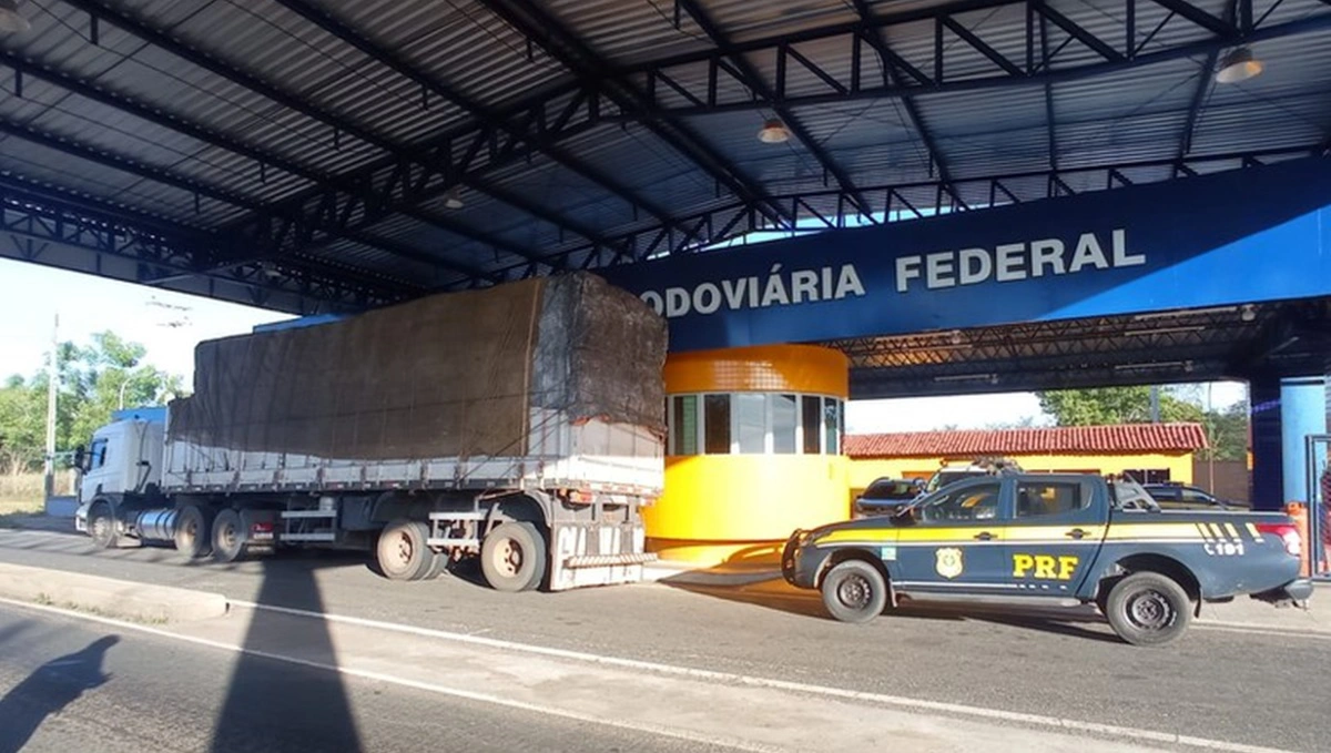 Madeira ilegal apreendida em Piripiri