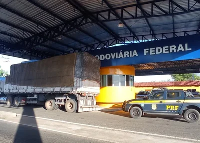 Madeira ilegal apreendida em Piripiri