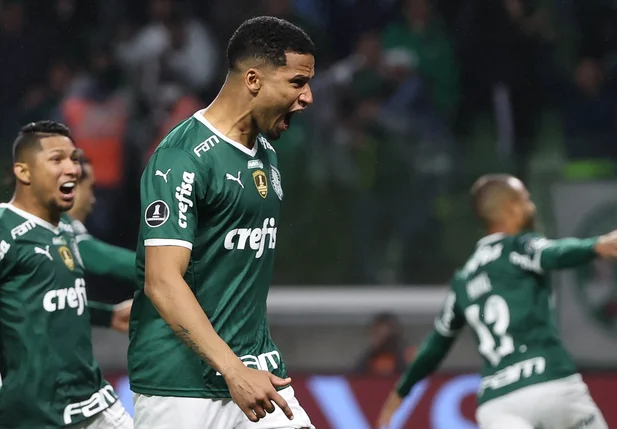 Palmeiras avança às semifinais da Libertadores