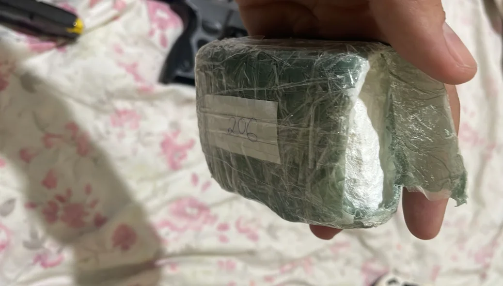 Parte da droga apreendida pela Polícia Civil do Piauí